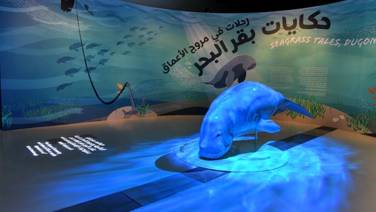 Curator-led Exhibition Tours Sea grass Tales, Dugong Trails