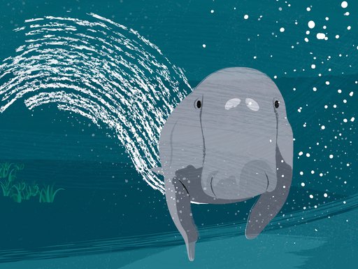 An Illustration showing a dugong's face