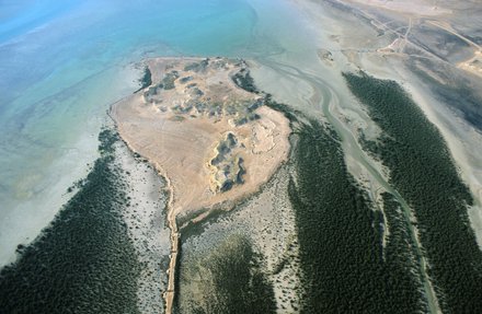 An aerial view of the Jazirat bin Ghannam Island surrounded by mangroves