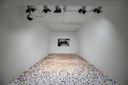 A photograph is mounted on a white wall down a long corridor with pencil shavings strewn on the floor.