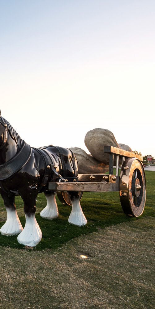 A wide-angle view of Perceval, the lifesize bronze sculpture of a shire horse with a cart containing giant marrows